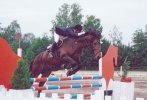 Horse jump