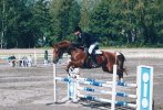 Horse jump